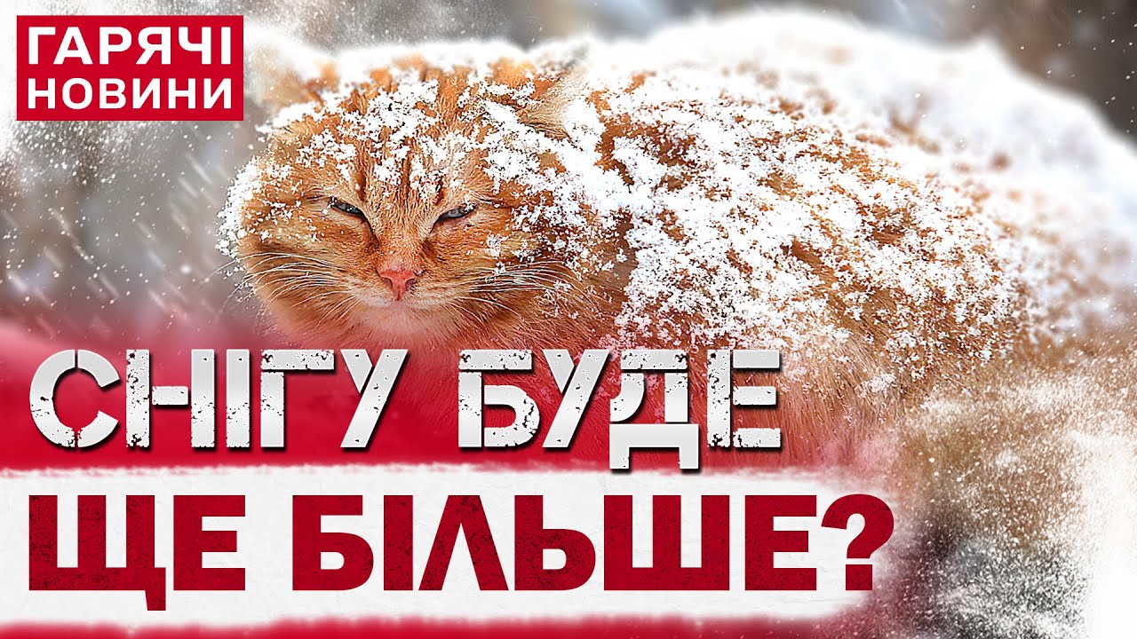 ЗИМА НА ПОРОЗІ! В Україні подекуди ВИПАВ СНІГ! Що далі з погодою?