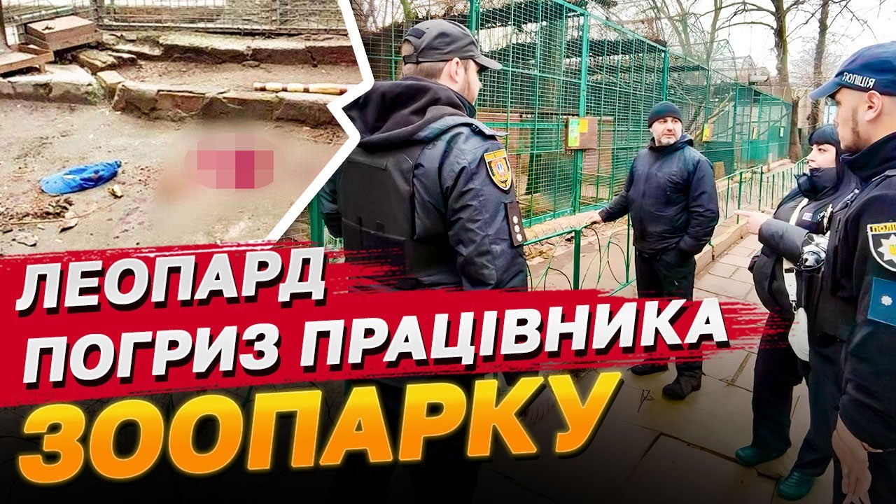 Леопард ледь не загриз до смерті працівника зоопарку в Одесі!