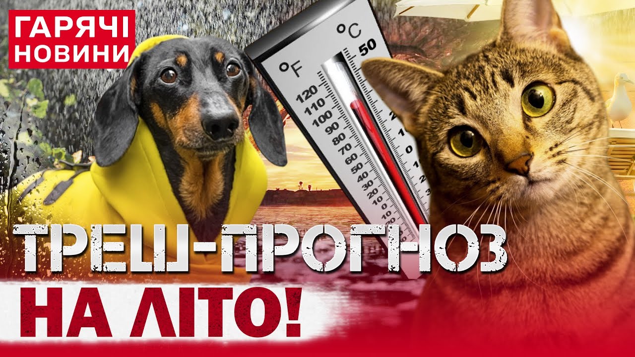 ШАЛЕНЕ ЛІТО 2025! Готуватися до +40?! ПРОГНОЗ ПОГОДИ ВІД СИНОПТИКІВ!