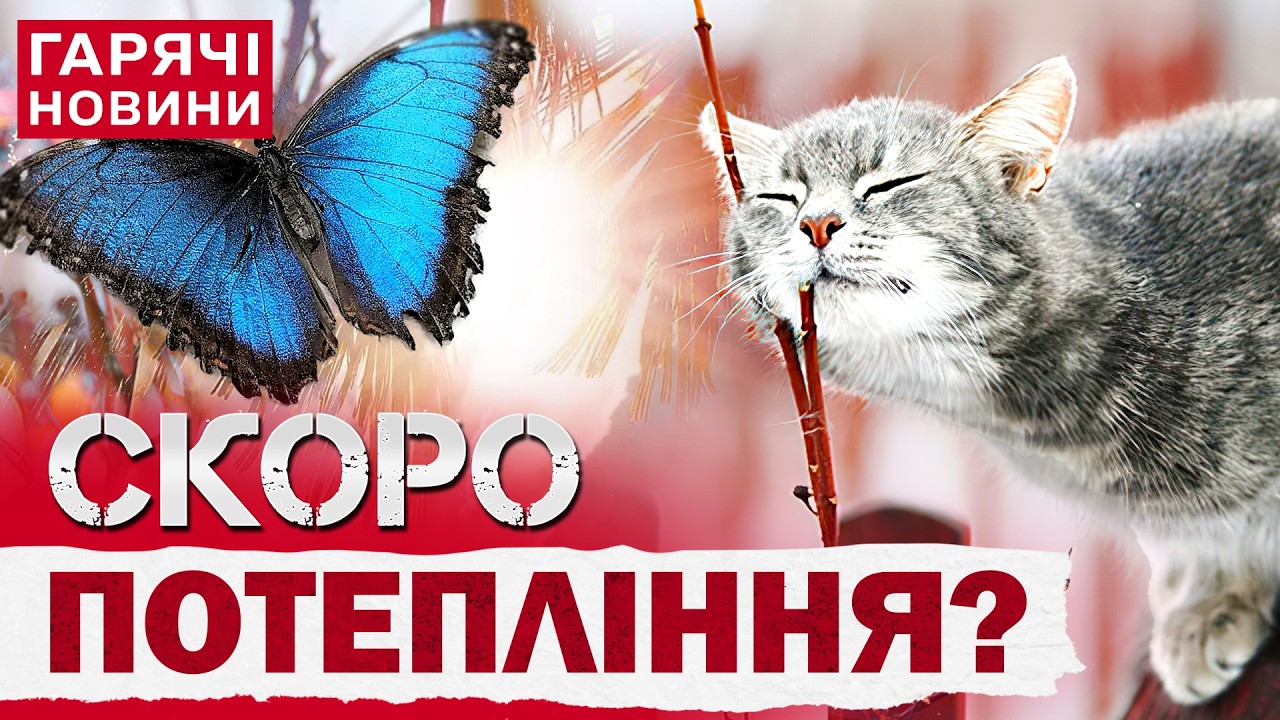 ПРОГНОЗ ПОГОДИ НА 21 БЕРЕЗНЯ: ДЕ ПРОЙДУТЬ ДОЩІ? МЕМ ДНЯ! ЯКЕ СЬОГОДНІ СВЯТО?