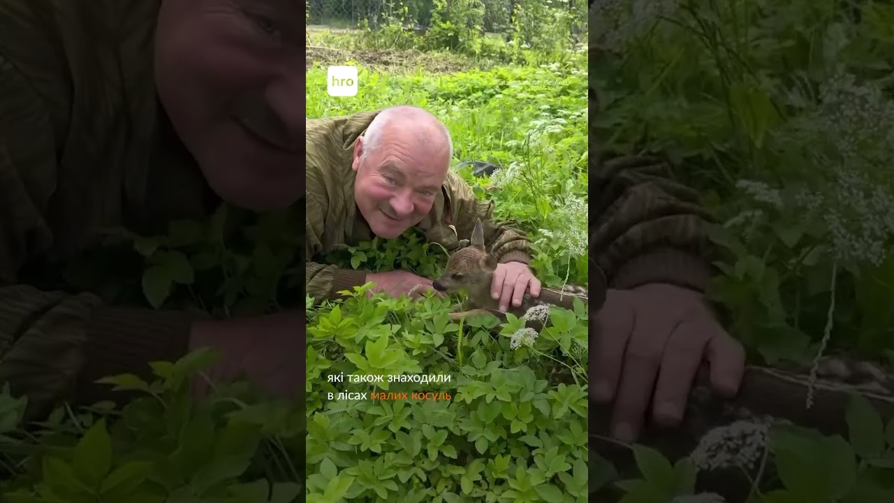 Майстер-блогер з Івано-Франківщини створив міні заповідник / hromadske