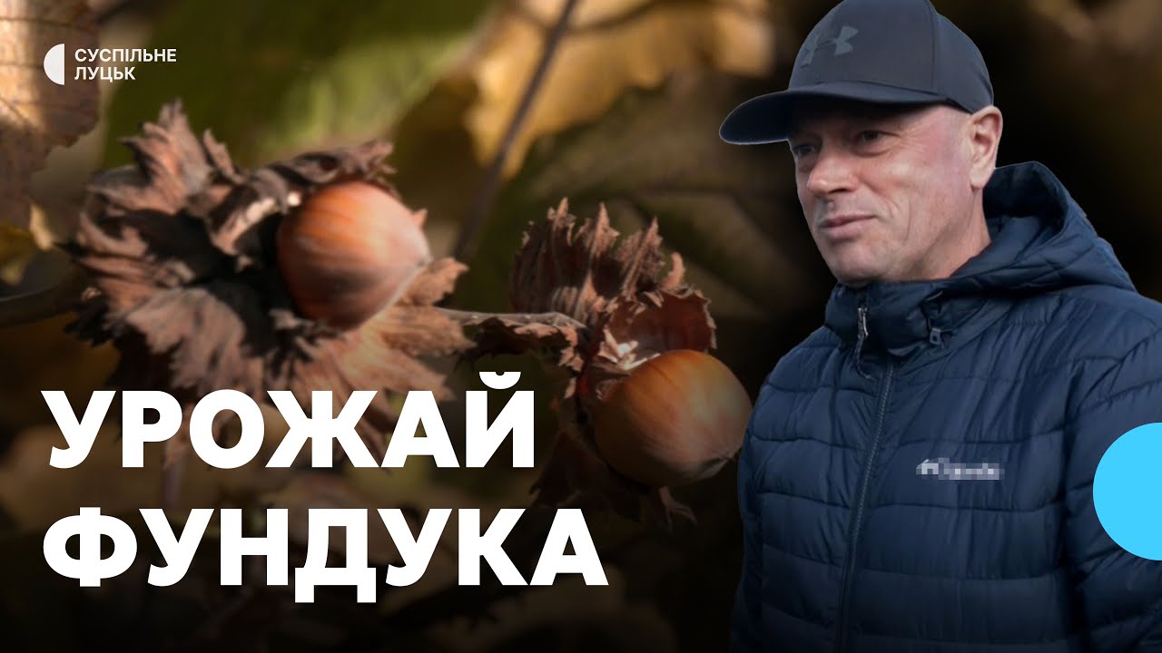 Отримав гранд від держави та почав вирощувати фундук: як господарює волинянин