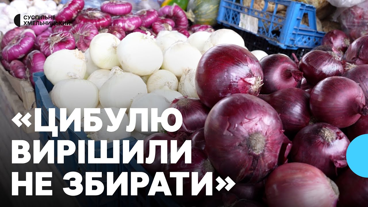 На продуктових ринках та супермаркетах подешевшала цибуля