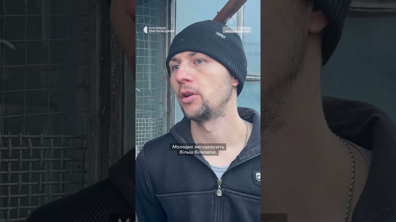 Про харчування спортивних голубів #shortsvideo