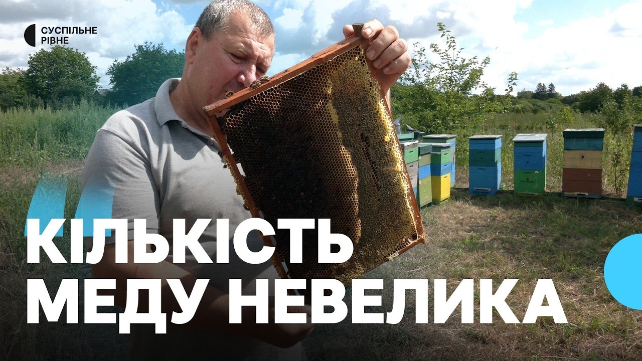 "Цього року мені отруїли 34 сім'ї, 5 вуликів вкрали": 62-річний ветеран займається бджільництвом