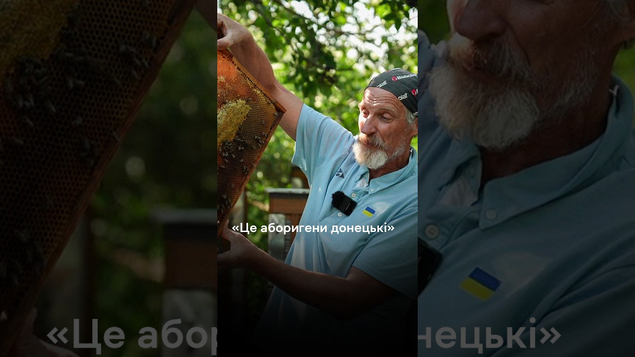 «Це аборигени донецькі»