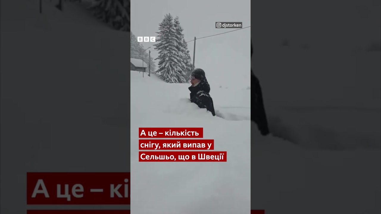 Це Сторкен. Його зріст – 197 см. Чоловік вирішив перевірити висоту снігу #shorts #погода ##новини