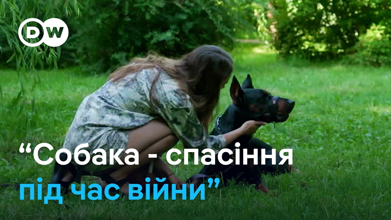 Терапія собаками в Україні: наслідки війни лікують чотирилапі терапевти | DW Ukrainian