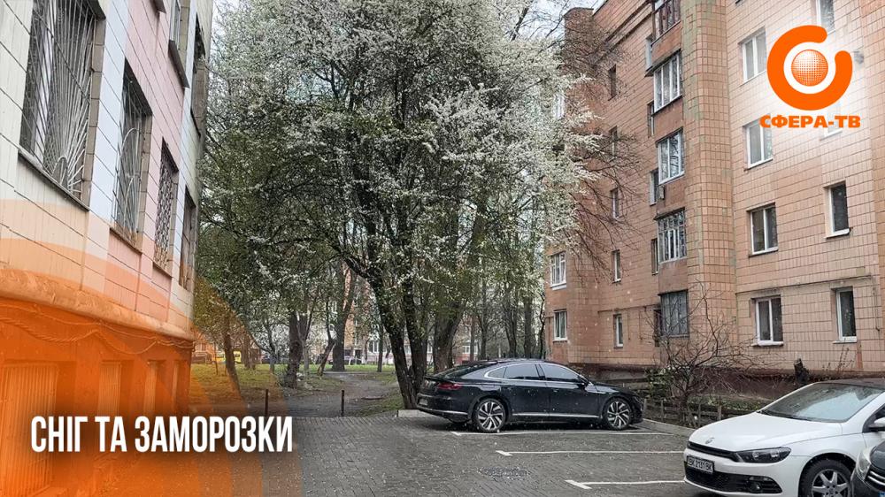 Сніг у квітні: як заморозки вплинуть на плодові дерева та городину на Рівненщині (ВІДЕО)