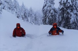 Сошла лавина: на Закарпатье туристов завалило снегом