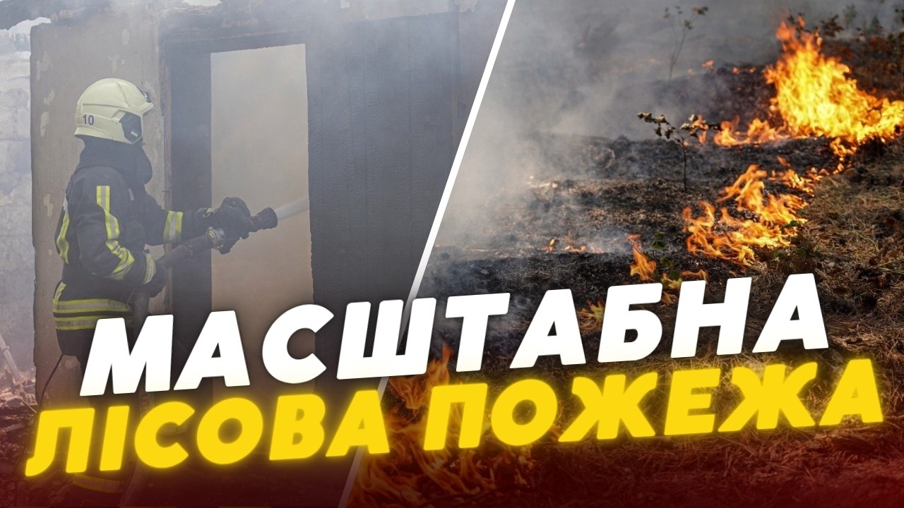 🚨 МАСШТАБНА ПОЖЕЖА НА ЧЕРКАЩИНІ: вогонь охопив близько 100 гектарів лісу