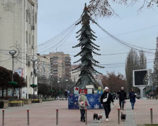 "Поставили позор власти": украинцы хохочут из-за елки в Киевской области - прозрачнее не найти
