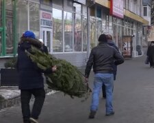 Можно ли перевозить елки в метро: киевлянам напомнили правила