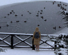Что нельзя рассказівать 17 января и зачем ходит спиной вперед сегодня: приметы и запреты на Антонов день
