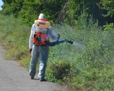 Украинцев будут наказывать за сорняки в огороде: кто получит 1700 гривен штрафа