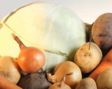 Красный Крест выдает продуктовые наборы переселенцам 65+ и многодетным семьям в Киеве