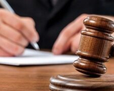 Пол тысячи гектаров зеленых насаждений получат защиту: суд заставил общину в Житомирской области оформить леса