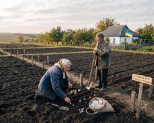 Освобождение от платы за землю: нужно ли подавать отчетность