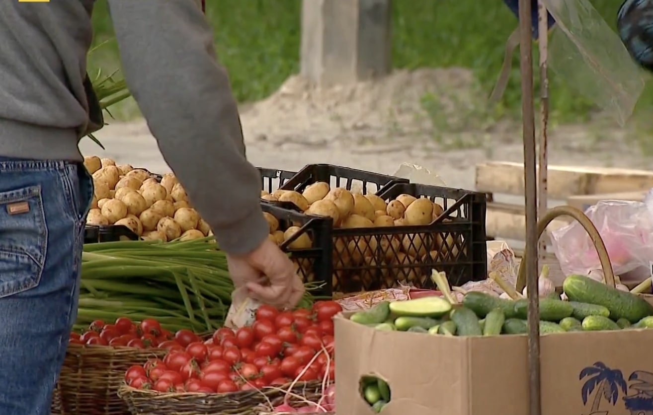 Дефицит овощей в Днепропетровской области: производители предупредили об опасности