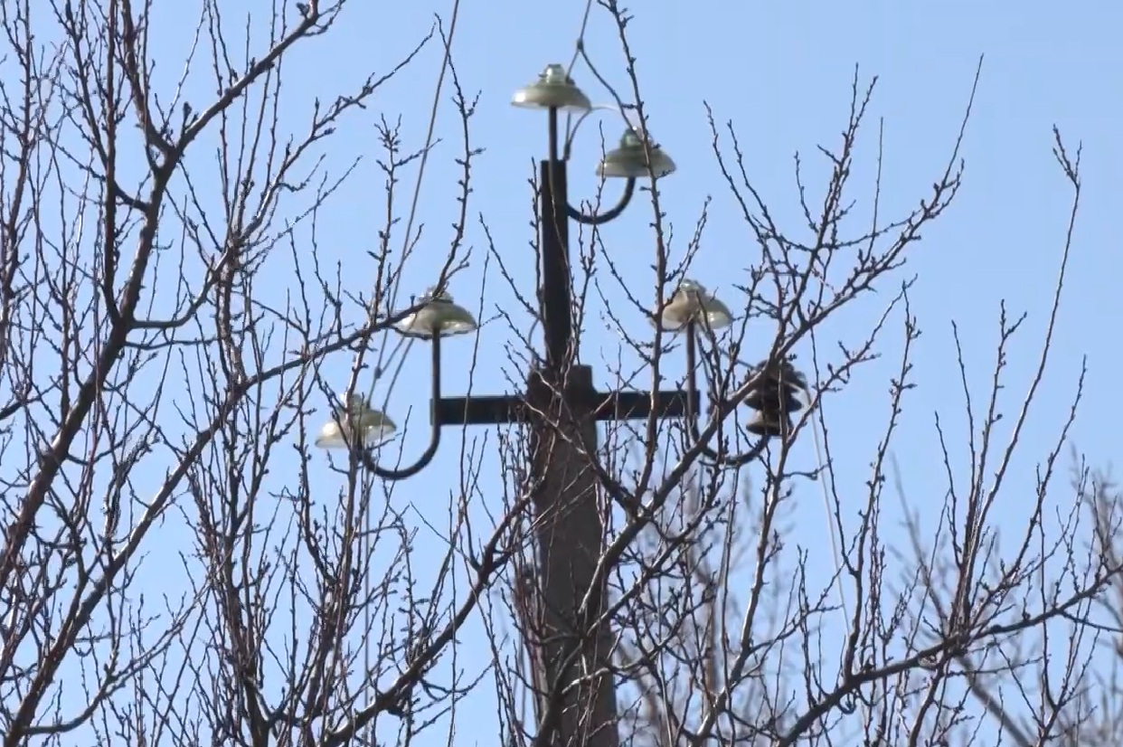 Графіки відключення світла в Житомирській області на 31 грудня: кому на багато годин знеструмлять будинки