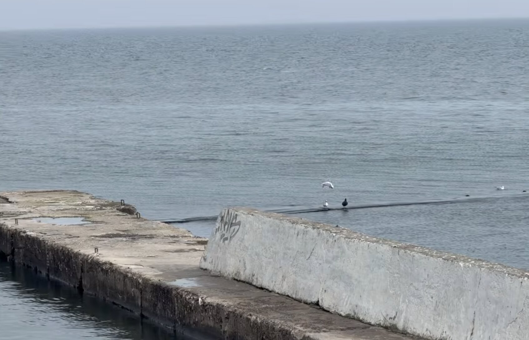 Прогноз погоди в Одесі на березень: яких несподіванок очікувати в перший місяць весни