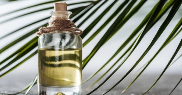 Польза или вред: что происходит с вашим телом, когда вы употребляете пальмовое масло