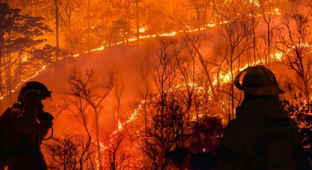 В Греции бьют тревогу из-за угрозы масштабных лесных пожаров, - Reuters