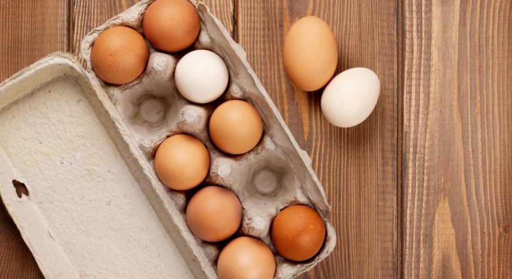 Коричневые или белые: есть ли разница в яйцах в зависимости от цвета
