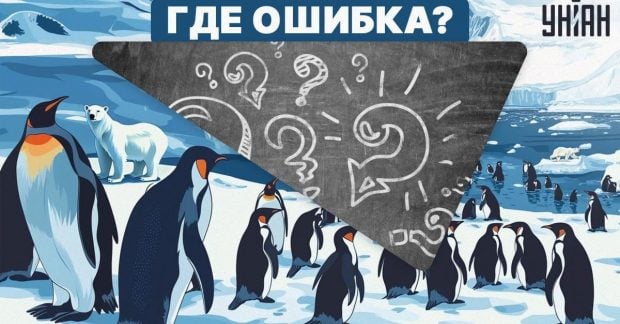 Нужен высокий IQ, чтобы найти ошибку на изображении за 5 секунд: сложный тест