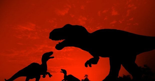 "Огромный сюрприз": ученые выяснили, какими яйца динозавров