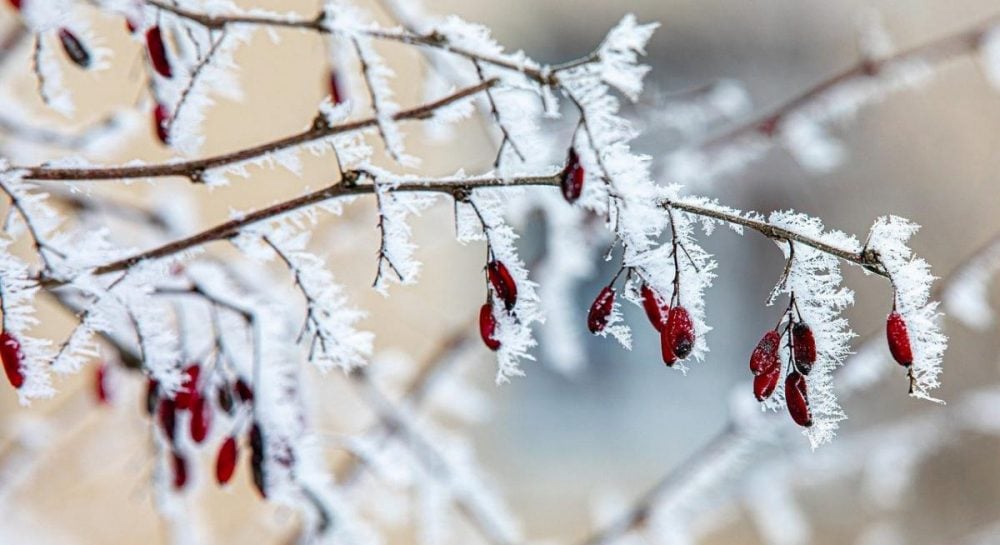 Холод из Арктики идет в Украину: синоптик рассказал, когда ударят морозы (карта)