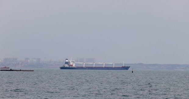 Еще одна страна покупает у России контрабандное зерно из Крыма, - Bellingcat