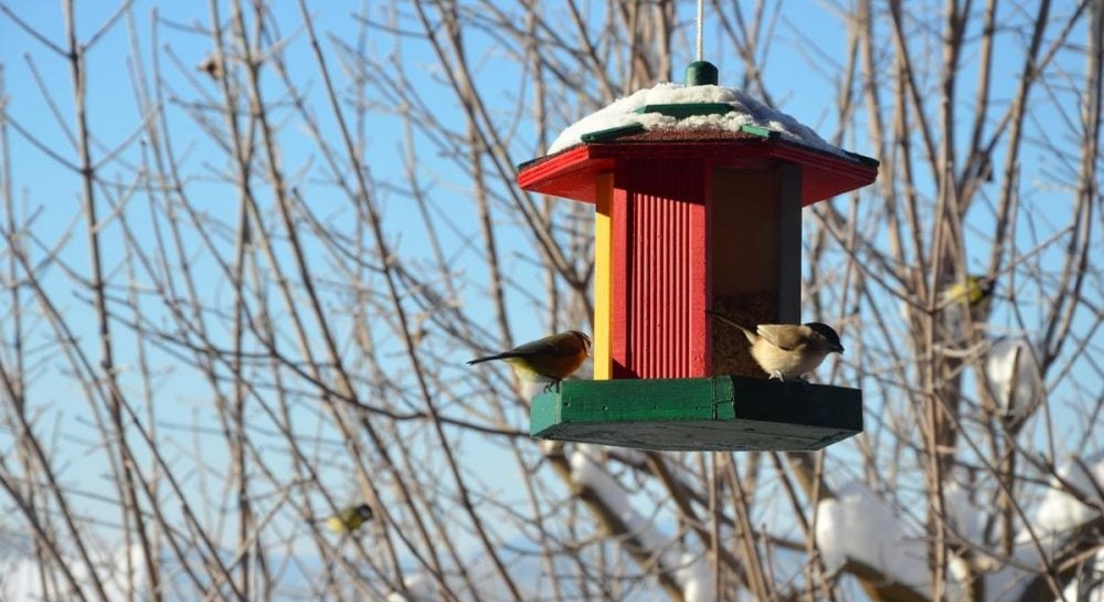Пик аномального холода в Украине пройден, - синоптик