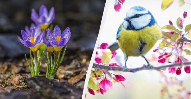 Сегодня - первый день весны: что в праздник 1 марта делают для благополучия