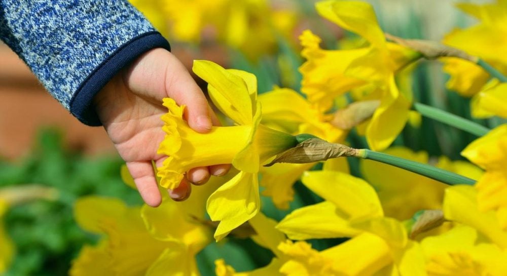 Синоптик Диденко назвала даты, когда в Украину вернётся весеннее тепло