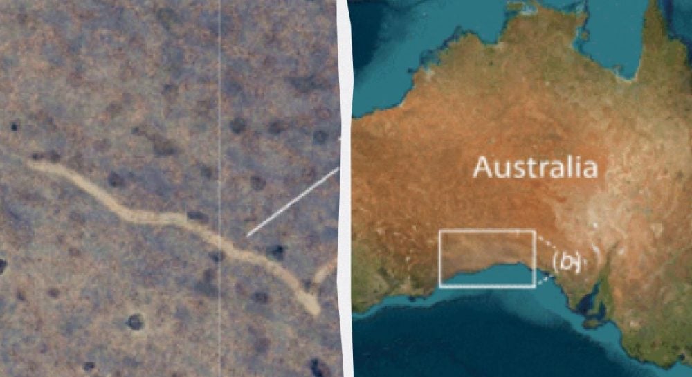 На картах Google Earth увидели странные следы, ученые потратили месяцы, чтобы их объяснить