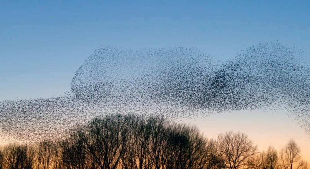 Под кладбищем Нью-Йорка нашли 5,6 миллиона живых существ: ученые ошеломлены