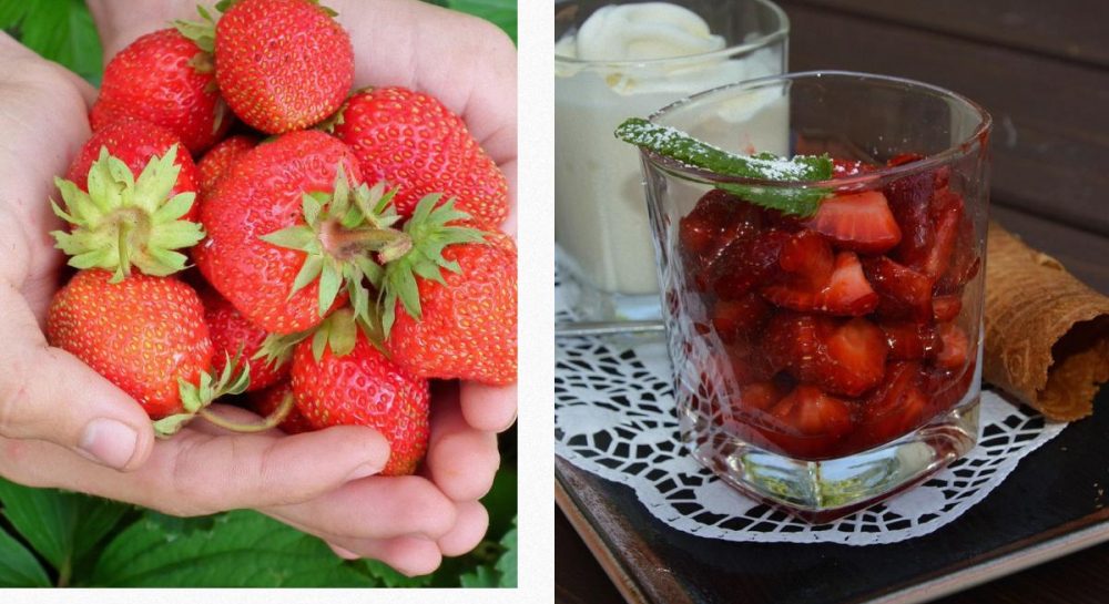 Что произойдет с организмом, если ежедневно есть клубнику: ответ диетологов