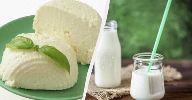 Греческий йогурт или творог: эксперты объяснили, какой из популярных продуктов лучше