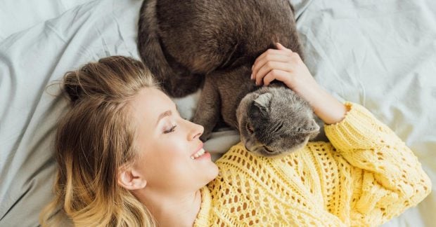 Почему кошка спит на вашей подушке: ветеринары назвали 5 трогательных причин