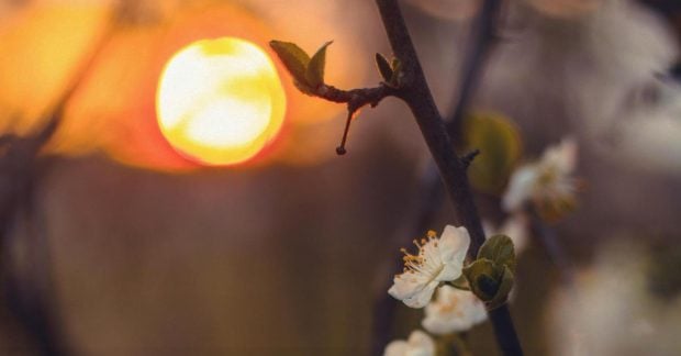 Лунный календарь на апрель 2026: удачные дни для работы, денег, поездок и огорода