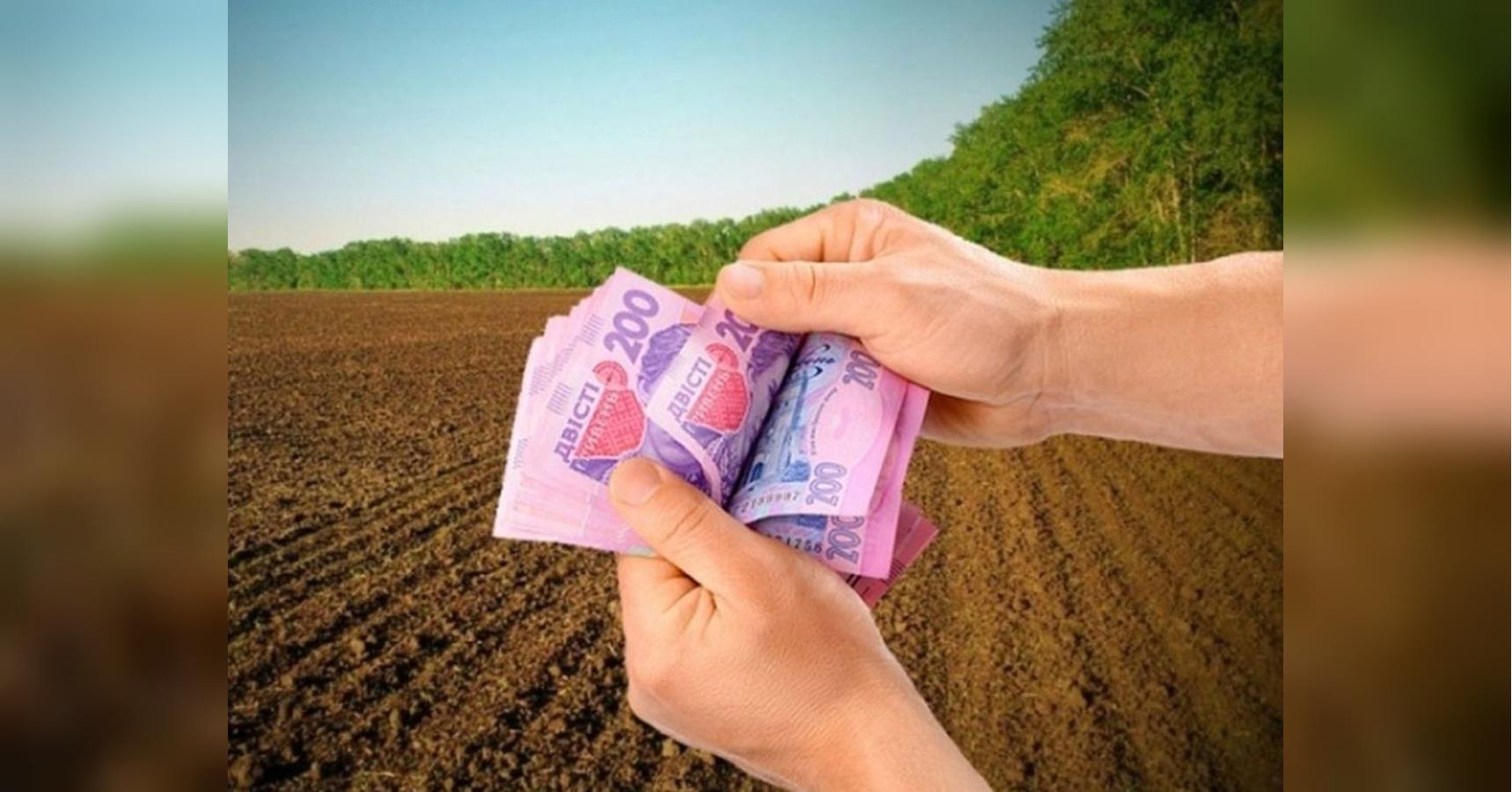 От выплат освобождены: кто может не платить земельный налог в 2025 году
