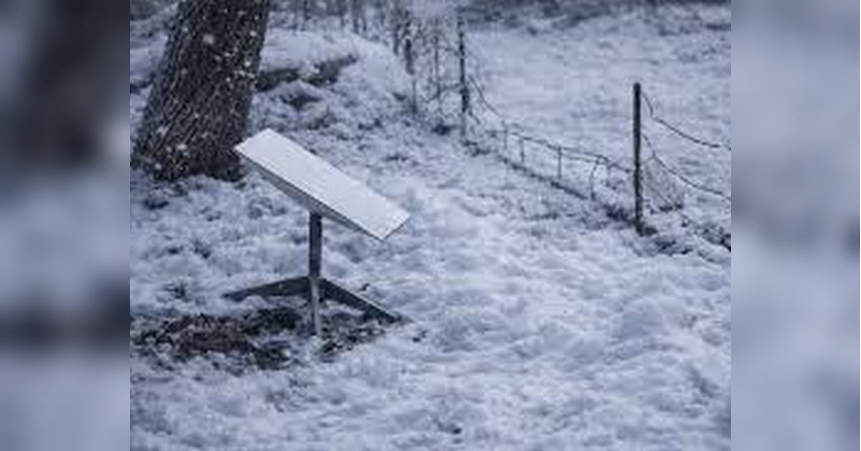 «Все управление легло»: оккупанты потеряли контроль над фронтом из-за сбоя Starlink