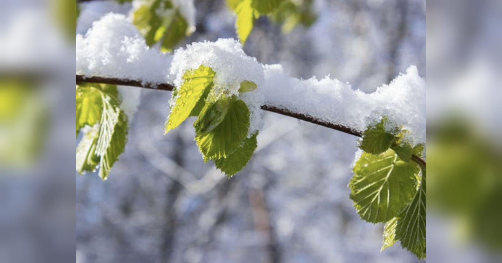 Морозы и снег возвращаются: в Украину идет похолодание