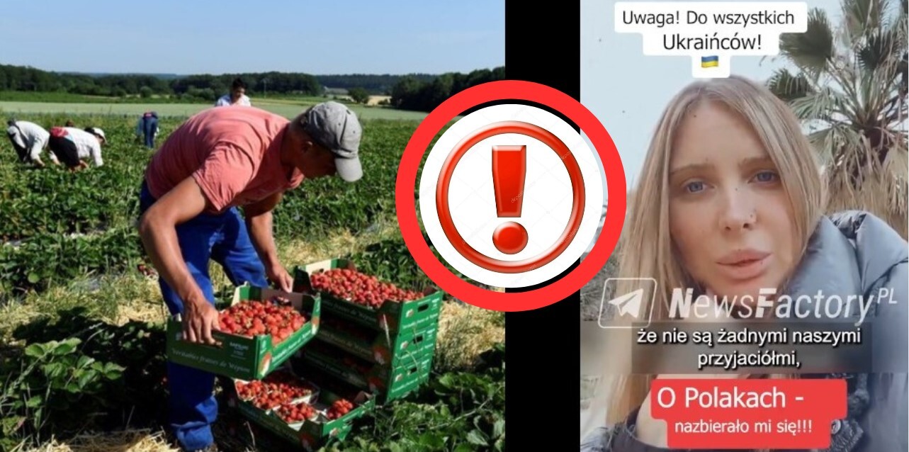 Польські фермери в розпачі: через закон про Мобілізацію українці можуть не приїхати на збір полуниці