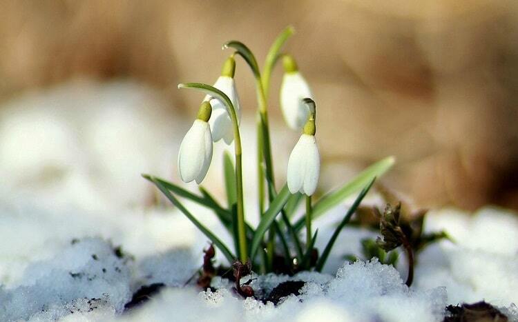 Що викидали з дому 4 березня, щоб позбутися невдач: народні прикмети