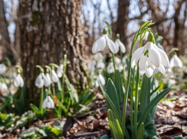 Чому 21 березня вважали небезпечним днем: народні прикмети