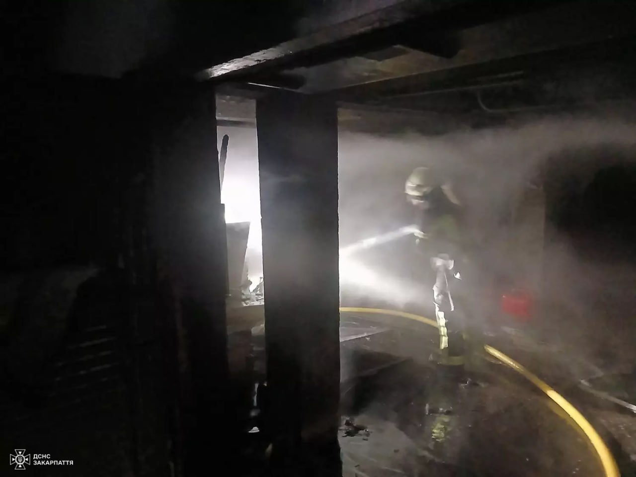 Полум’я охопило гараж, але будинок вцілів: пожежа в селі Олешник