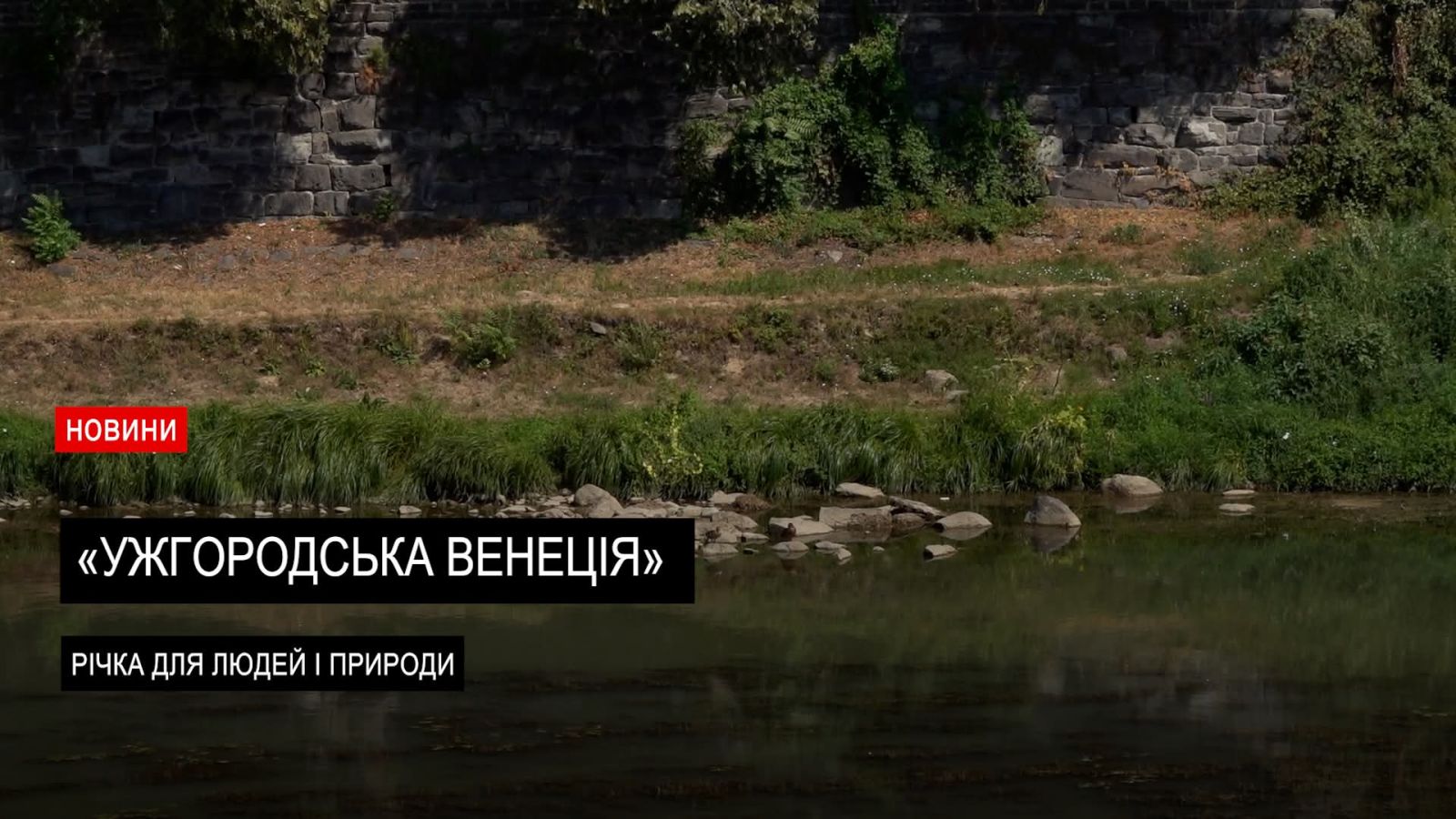 Ужгородська "Венеція": Річка для людей і природи (ВІДЕО)