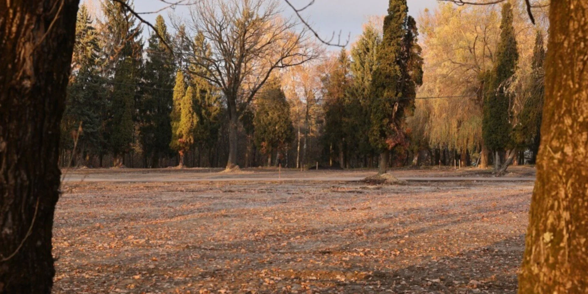 Во Львове выделили новый участок для захоронения защитников Украины